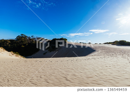 Henty Dunes in Strahan Tasmania Australia 136549459