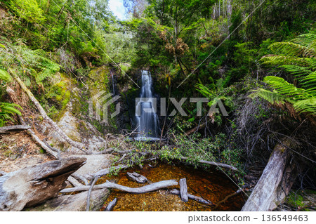 Hogarth Falls near Strahan in Tasmania Australia Hogarth Falls near Strahan in Tasmania Australia 136549463