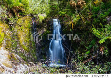 Hogarth Falls near Strahan in Tasmania Australia Hogarth Falls near Strahan in Tasmania Australia 136549464