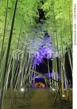 宇都宮「若竹之森和歌山農場」點燈 136549681
