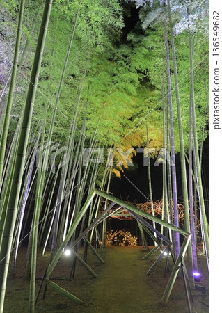 宇都宮「若竹之森和歌山農場」點燈 136549682