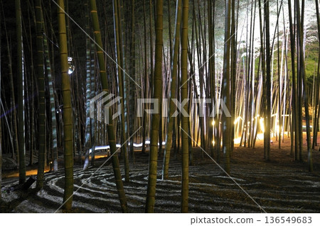 Utsunomiya "Wakatake no Mori Wakayama Farm" Light-up 136549683