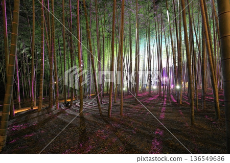 宇都宮「若竹之森和歌山農場」點燈 136549686