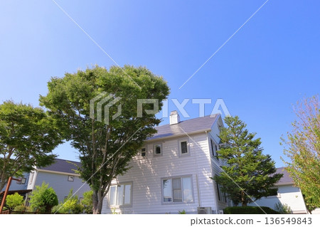 Housing and building image 136549843