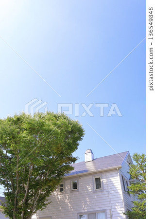 房屋和建築形象 136549848