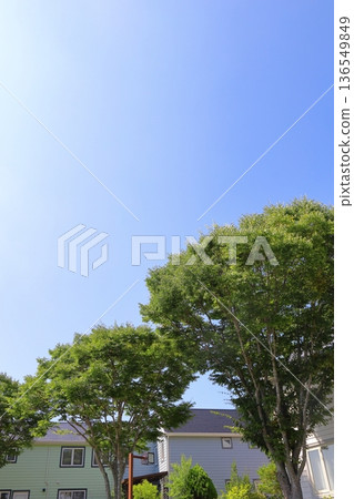 房屋和建築形象 136549849