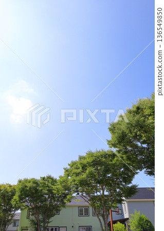 房屋和建築形象 房屋和建築形象 136549850