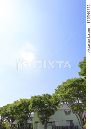 房屋和建築形象 房屋和建築形象 136549851
