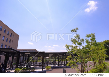 房屋和建築形象 房屋和建築形象 136549859