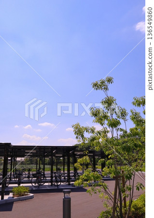 房屋和建築形象 136549860