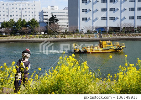 二月,品川運河上油菜花盛開,船隻往來穿梭。 162 油菜花與品川花海路 二月,品川運河上油菜花盛開,船隻往來穿梭。 162 油菜花與品川花海路 136549913