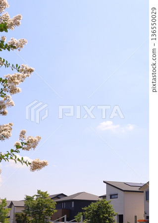 Housing and building image 136550029