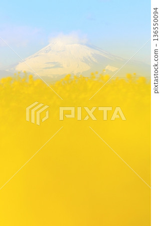 Soleil Hill Rape blossoms and Mt. Fuji 136550094