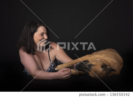 malinois in studio 136550142