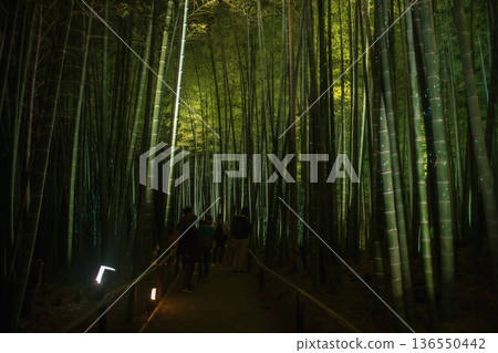 Silhouette people view Bamboo grove light up in Kodaiji temple, Kyoto 136550442