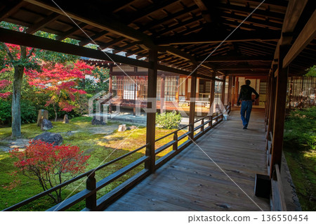 Tourist man walk on Kennin-ji temple hall by autumn garden, Kyoto 136550454