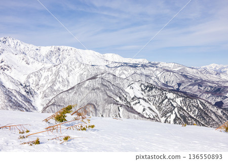 從長野縣白馬村八方尾根滑雪場眺望山景 136550893