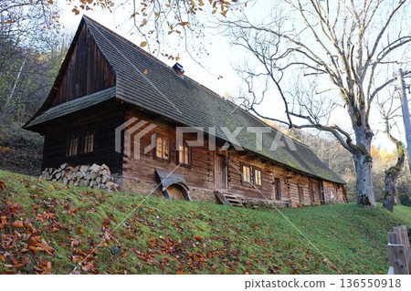 A large wooden house sits in a forest clearing. 136550918