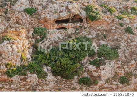 Ancient rocky cave entrance in stone cliff, geological formation with dry vegetation under bright daylight, archaeological site and wild nature landscape 136551070