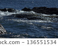 波浪搖滾 136551534