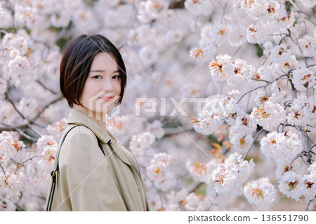 Cherry blossoms in full bloom and young women 136551790