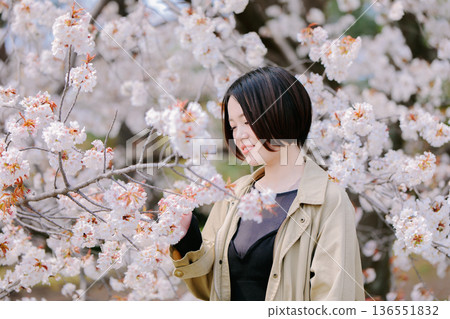 盛開的櫻花和年輕女性 盛開的櫻花和年輕女性 136551832