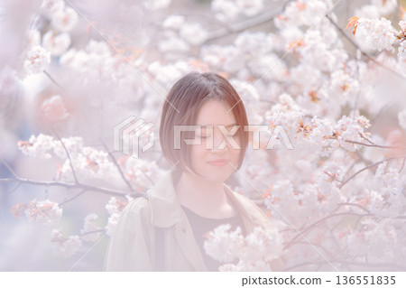 Cherry blossoms in full bloom and young women Cherry blossoms in full bloom and young women 136551835