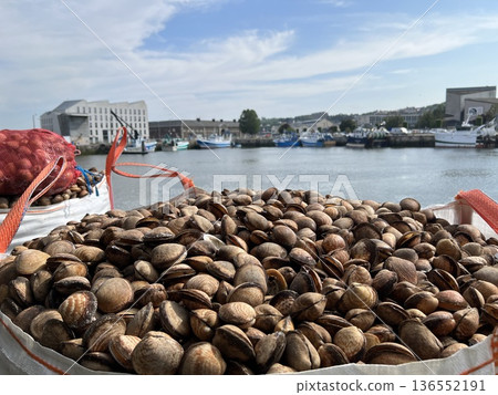 Bags with clams in the port of Dieppe Bags with clams in the port of Dieppe 136552191