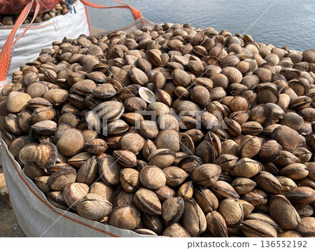 Bags with clams in the port of Dieppe Bags with clams in the port of Dieppe 136552192
