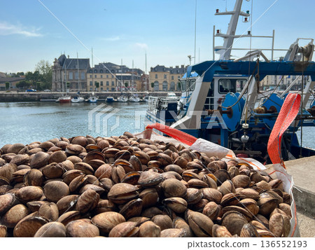 Bags with clams in the port of Dieppe Bags with clams in the port of Dieppe 136552193