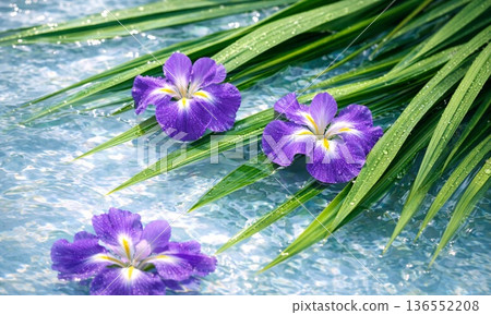 日式鳶尾花浴背景 日式鳶尾花浴背景 136552208