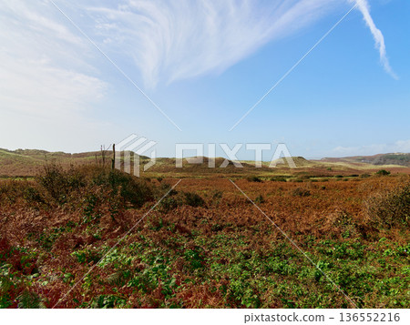 Daytime scene captures a wide vista of rolling hills, covered in deep brown autumn ferns and some green plants. A calm blue sky stretches above. 136552216
