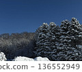 冬季森林 136552949