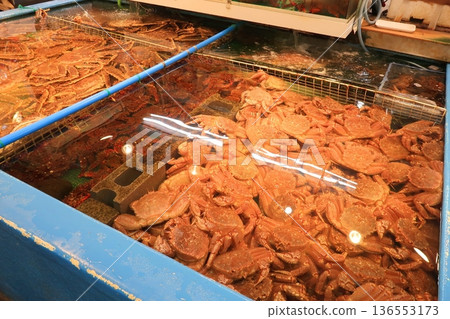 Hokkaido's Summer Seafood Market Hokkaido's Summer Seafood Market 136553173