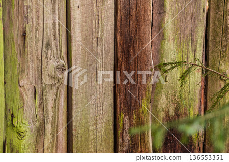 moss-streaked aged fence with foreground 136553351
