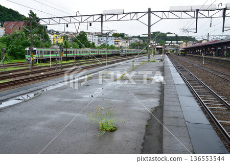 JR北海道函館本線：從小樽站到餘市站的普通列車車窗外景色（2023年夏雨） 136553544
