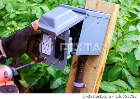 Installing outdoor electrical box while working near plants in garden Installing outdoor electrical box while working near plants in garden 136553788