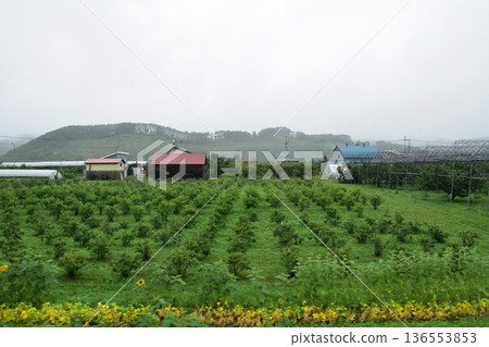 JR Hokkaido Hakodate Main Line: Scenery from the window of a local train from Yoichi Station to Ginzan Station (Summer rain, 2023) JR Hokkaido Hakodate Main Line: Scenery from the window of a local train from Yoichi Station to Ginzan Station (Summer rain, 2023) 136553853