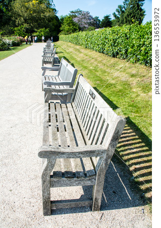 Wooden benches lined up on the sidewalk under bright sunlight at Kew Gardens, a suburb of London Wooden benches lined up on the sidewalk under bright sunlight at Kew Gardens, a suburb of London 136553972