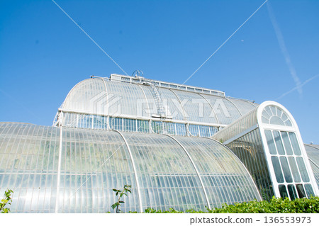 A large glass greenhouse under the bright sunlight of a clear day at Kew Gardens in the suburbs of London A large glass greenhouse under the bright sunlight of a clear day at Kew Gardens in the suburbs of London 136553973