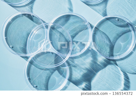 Petri dishes creating graphic shadows and light patterns on pale blue surface 136554372