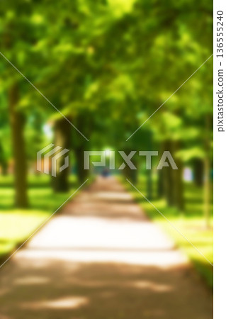 Blur natural and light background in the park. Bokeh light yellow green abstract backgrounds textures. Blur natural and light background in the park. Bokeh light yellow green abstract backgrounds textures. 136555240