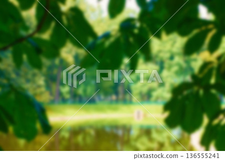 Blur natural and light background in the park. Bokeh light yellow green abstract backgrounds textures. Blur natural and light background in the park. Bokeh light yellow green abstract backgrounds textures. 136555241