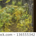 A view through a fogged window with a thermometer 136555342