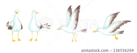 Watercolor cute seagulls illustration isolated on white. Hand-painted sea birds clipart in cartoon naive style for kids designs.  136556204