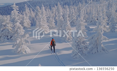 Beautiful Winter Mountain Scenery with Man on Cross-Country Skis , Aerial View 136556250
