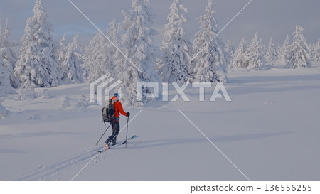 Beautiful Winter Mountain Scenery with Man on Cross-Country Skis , Aerial View Beautiful Winter Mountain Scenery with Man on Cross-Country Skis , Aerial View 136556255