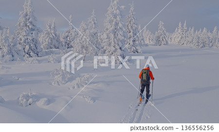 Beautiful Winter Mountain Scenery with Man on Cross-Country Skis , Aerial View Beautiful Winter Mountain Scenery with Man on Cross-Country Skis , Aerial View 136556256