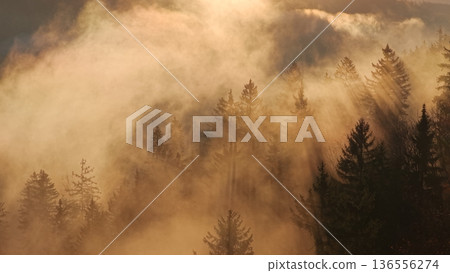 Beautiful mountain landscape in fall with colorful trees and white fog , aerial view . Misty forest 136556274