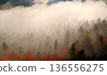 Beautiful mountain landscape in fall with colorful trees and white fog , aerial view . Misty forest 136556275